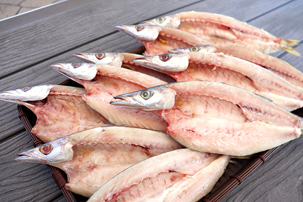 6周年祭-カマスの大運動会-