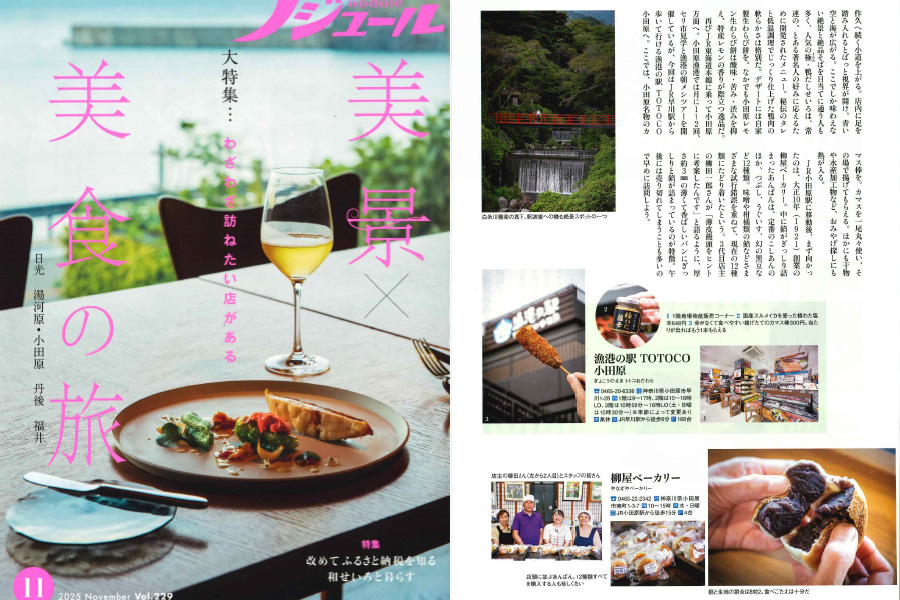 「ノジュール_2025年11月号」