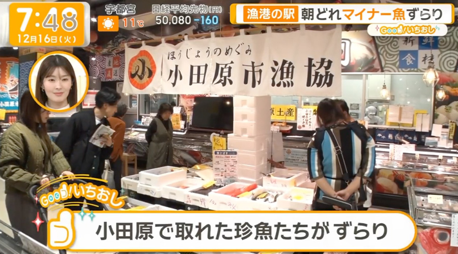 「THE テレビ朝日「グットモーニング」